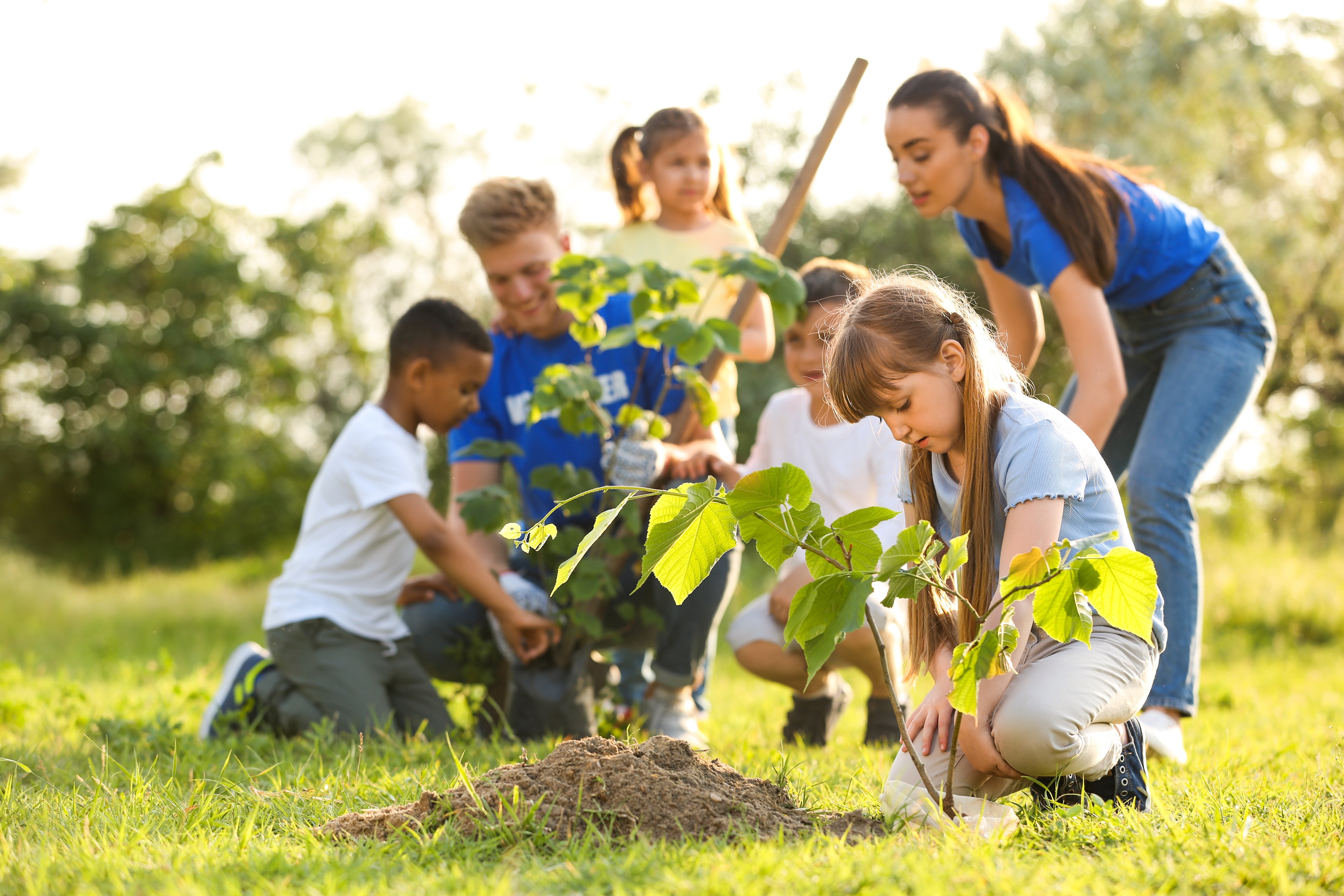 Kinder und Erwachsene pflanzen einen Baum