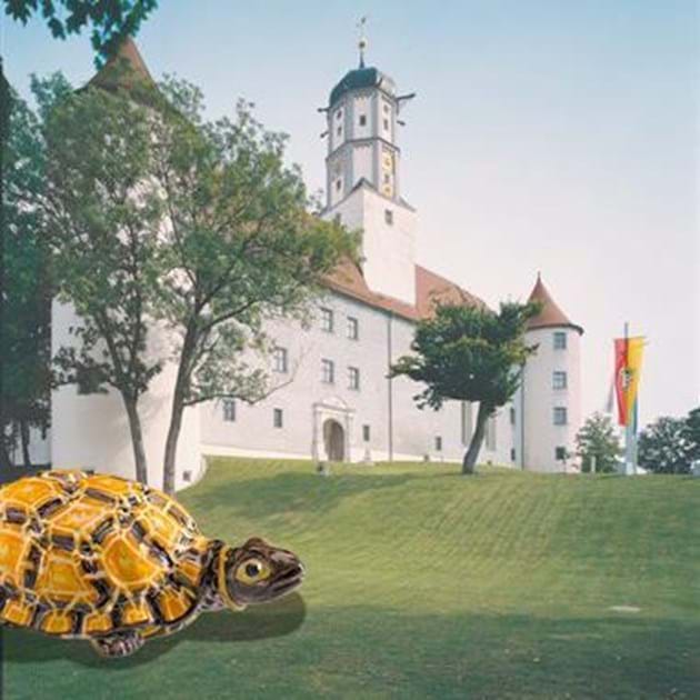 Höchstädt Brandl